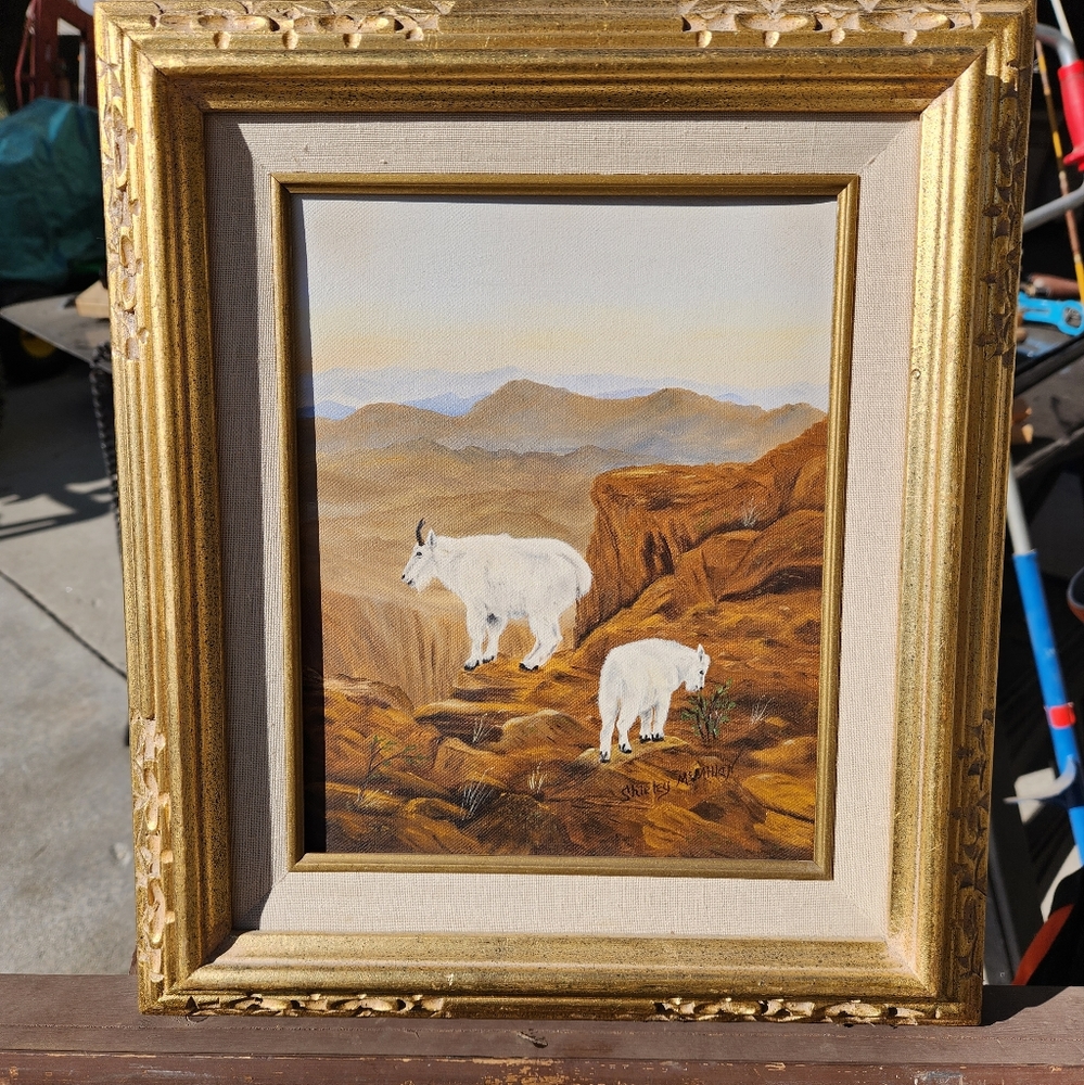 Beautiful mountain goat scene